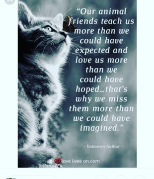 IMG_20180907_085852_007 (1)